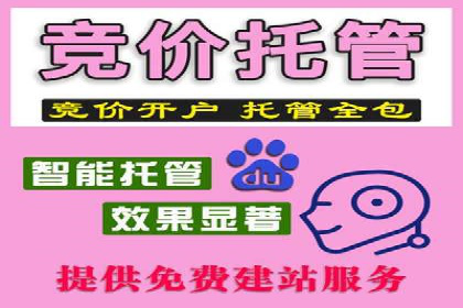 顶尖SEM竞价代运营公司案例分析